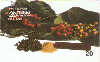 MT-041M - Guaranazeiro