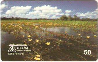 MT-057M - Pantanal Matogressense