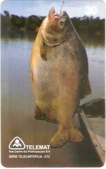 MT-067M - Telecartofilia - 03/12