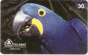 MT-075M - Arara Azul