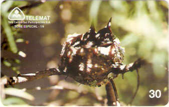 MT-082M - Meio-Ambiente - 1/4