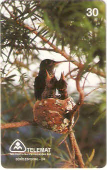 MT-083M - Meio-Ambiente - 2/4