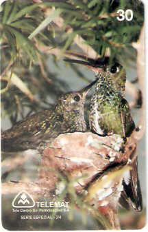 MT-084M - Meio-Ambiente - 3/4