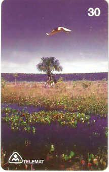 MT-098M - Pantanal de Mimoso