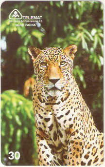 MT-103M - Onça Pintada