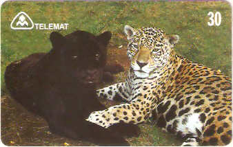 MT-109M - Onça Pintada