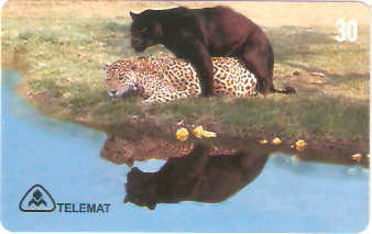 MT-111M - Onça Pintada