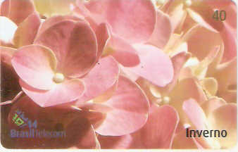 MTC03-06 - |Inverno - 3/4