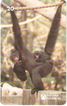 RJ-0082M - Meio Ambiente - B1 - 3/6