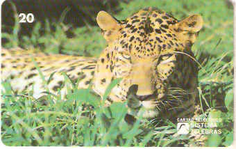 RJ-0080M - Meio Ambiente - B1 - 1/6