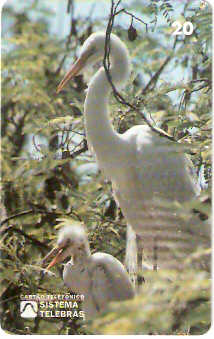 RJ-0083M - Meio Ambiente - B1 - 4/6