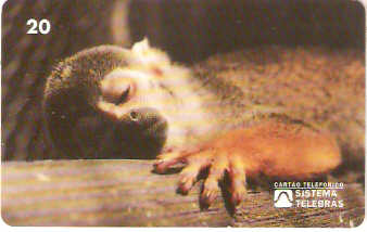 RJ-0081M - Meio Ambiente - B1 - 2/6