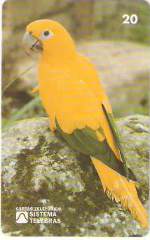 RJ-0084M - Meio Ambiente - B1 - 5/6