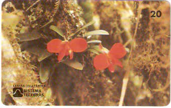 RJ-0155M - Pq Nacional de Itatiaia 3