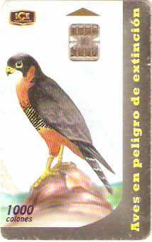 COS-049 - Aves em Perigo - 3