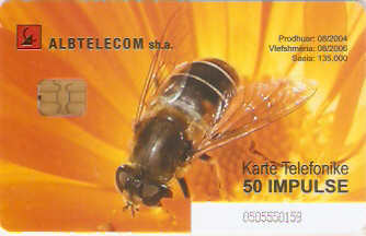 ALB-096 - Abelha