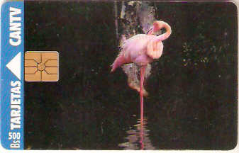 VEN-042-2a - Flamingo