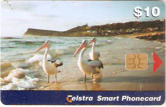 AUS-C-099002 - Pelicano