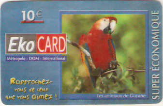 FA-EKO-XNT-066D - Arara