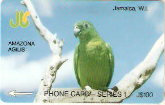 JAM-013D - Papagaio