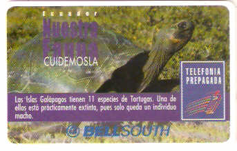 EQU-P-105A - Tartaruga