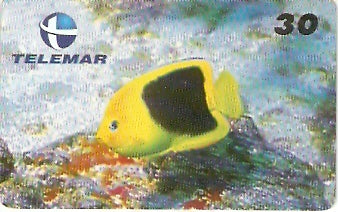 PB-017 - Xira Amarelo - 30