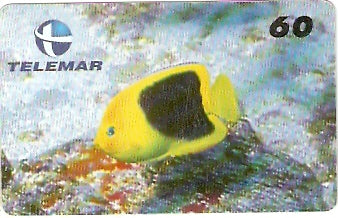 PB-018 - Xira Amarelo - 60