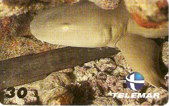 PB-029 - Cação Lixa