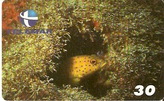 PB-033 - Piraúna