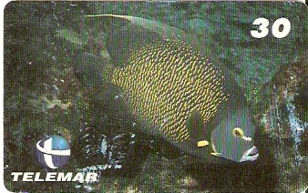 PB-035 - Paru Adulto