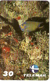 PB-031 - Ciliaris
