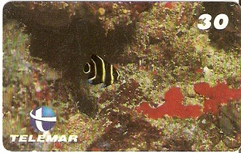 PB-036 - Paru Juvenil