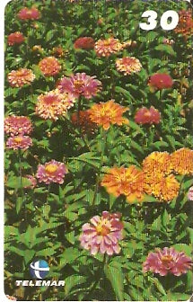 PB-044 - Primavera