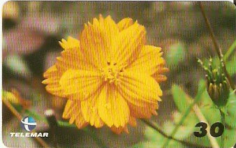 PB-051 - Flores - 01/15