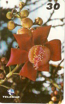 PB-059 - Flores - 09/15