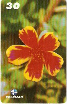 PB-055 - Flores - 05/15