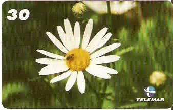 PB-053 - Flores - 03/15