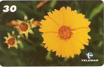 PB-058 - Flores - 08/15