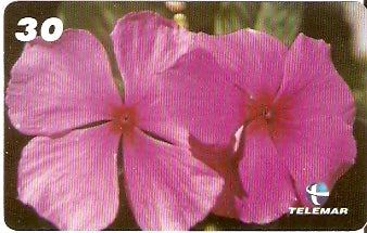 PB-054 - Flores - 04/15