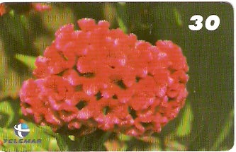 PB-060 - Flores - 10/15