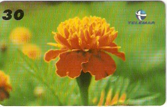 PB-061 - Flores - 11/15