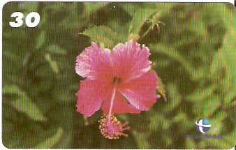 PB-057 - Flores - 07/15