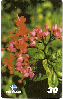 PB-065 - Flores - 15/15