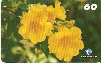 PB-062 - Flores - 12/15