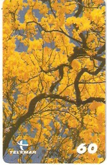 PB-086 - Ipê Amarelo