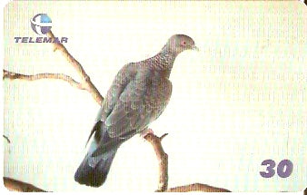 PB-098 - Asa-Branca