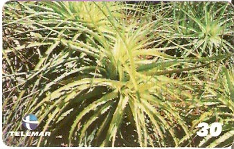 PB-100 - Macambira-de-Pedra