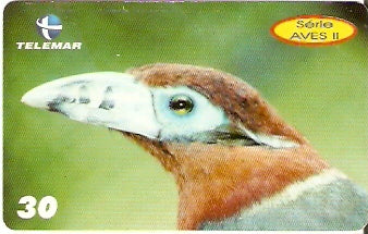 PB-155 - Aves II - 02/10