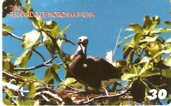 PB-164 - Fernando de Noronha - 03/10