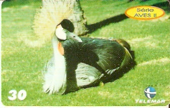 PB-156 - Aves II - 03/10